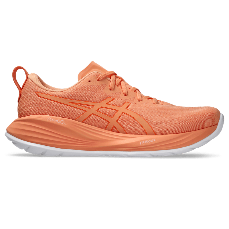 -REF-1011C104-800-IMG-01