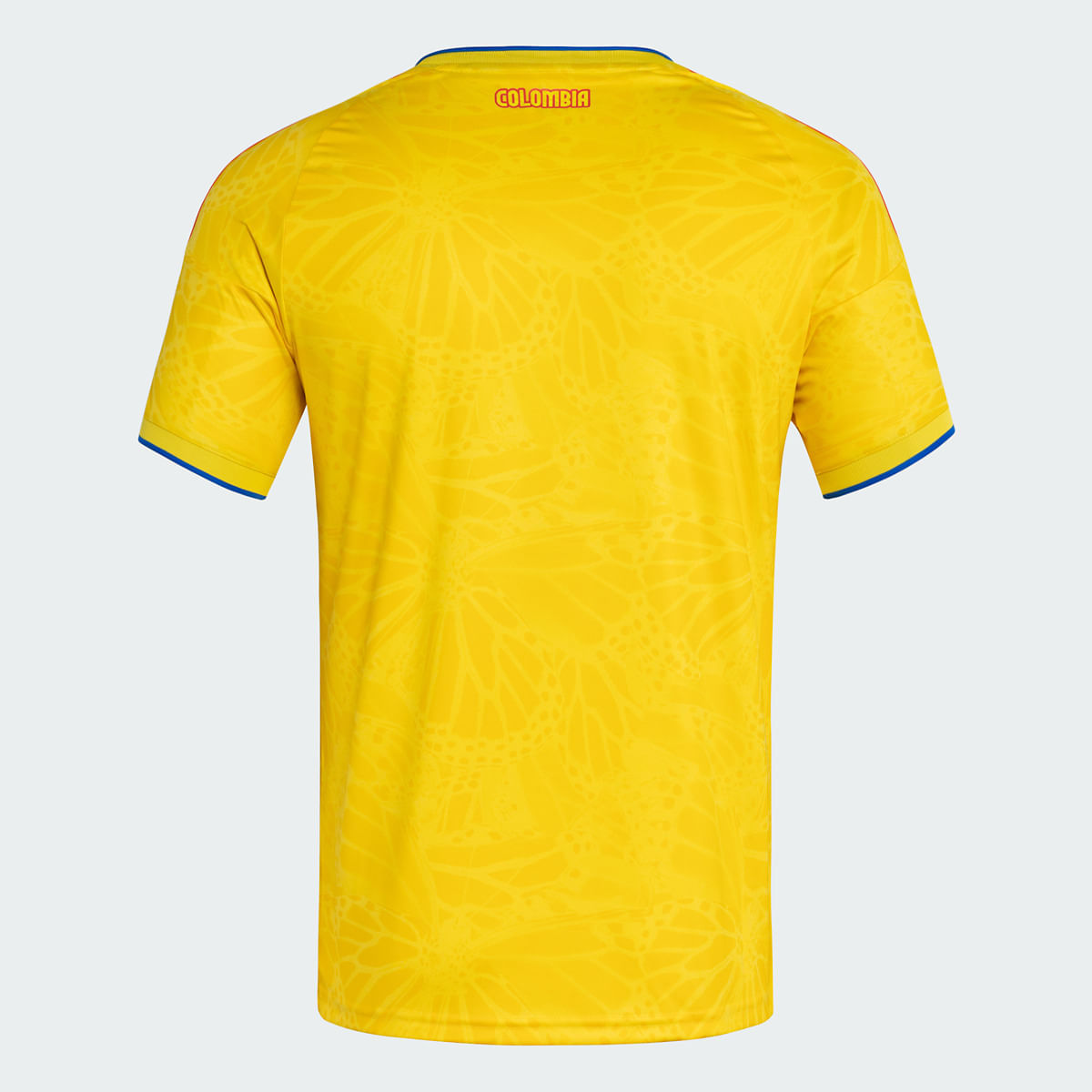 JL6972_B_Torso_B2CCat