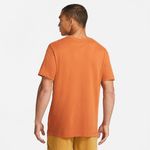 Camiseta-Manga-Corta-nike-para-hombre-U-Nk-Df-Tee-Ss-Trail-para-correr-color-cafe.-Reverso-Sobre-Modelo